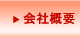 ЊTv