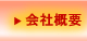 ЊTv