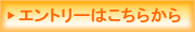 Gg[͂炩